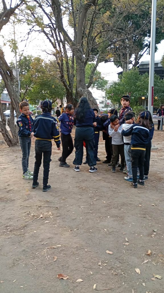 voluntariado comunitario